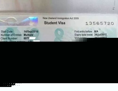 去新西蘭留學一年的費用需要多少