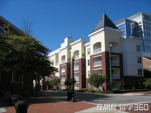 國外留學熱門專業_西班牙留學熱門專業_新西蘭留學熱門專業
