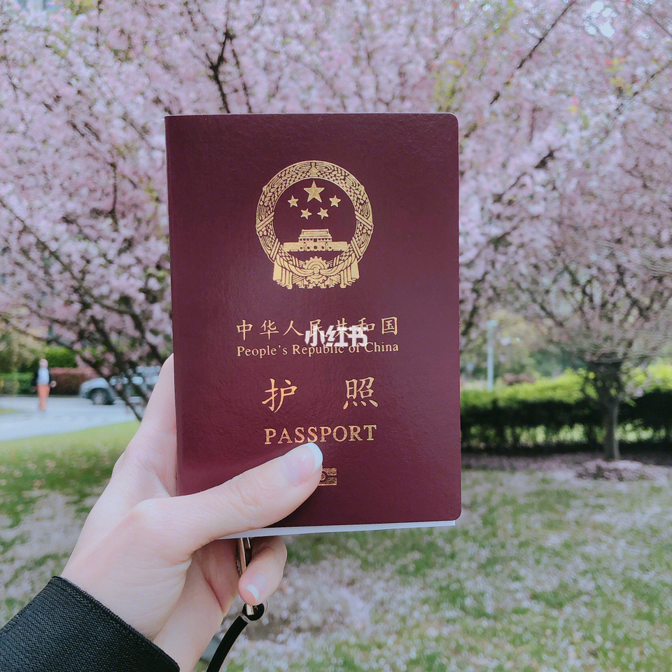俄羅斯簽證費用一般多少錢_俄羅斯簽證費用一般多少錢_俄羅斯跟團簽證費用