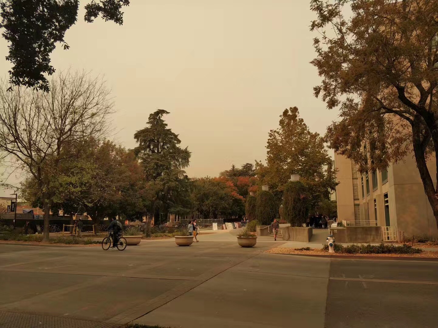 英國明尼蘇達大學_明尼蘇達圣瑪麗大學怎么樣_明尼蘇達圣瑪麗大學留學申請