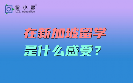 留學(xué)新西蘭費(fèi)用_新西蘭留學(xué)一年的費(fèi)用_新西蘭高中留學(xué)一年費(fèi)用
