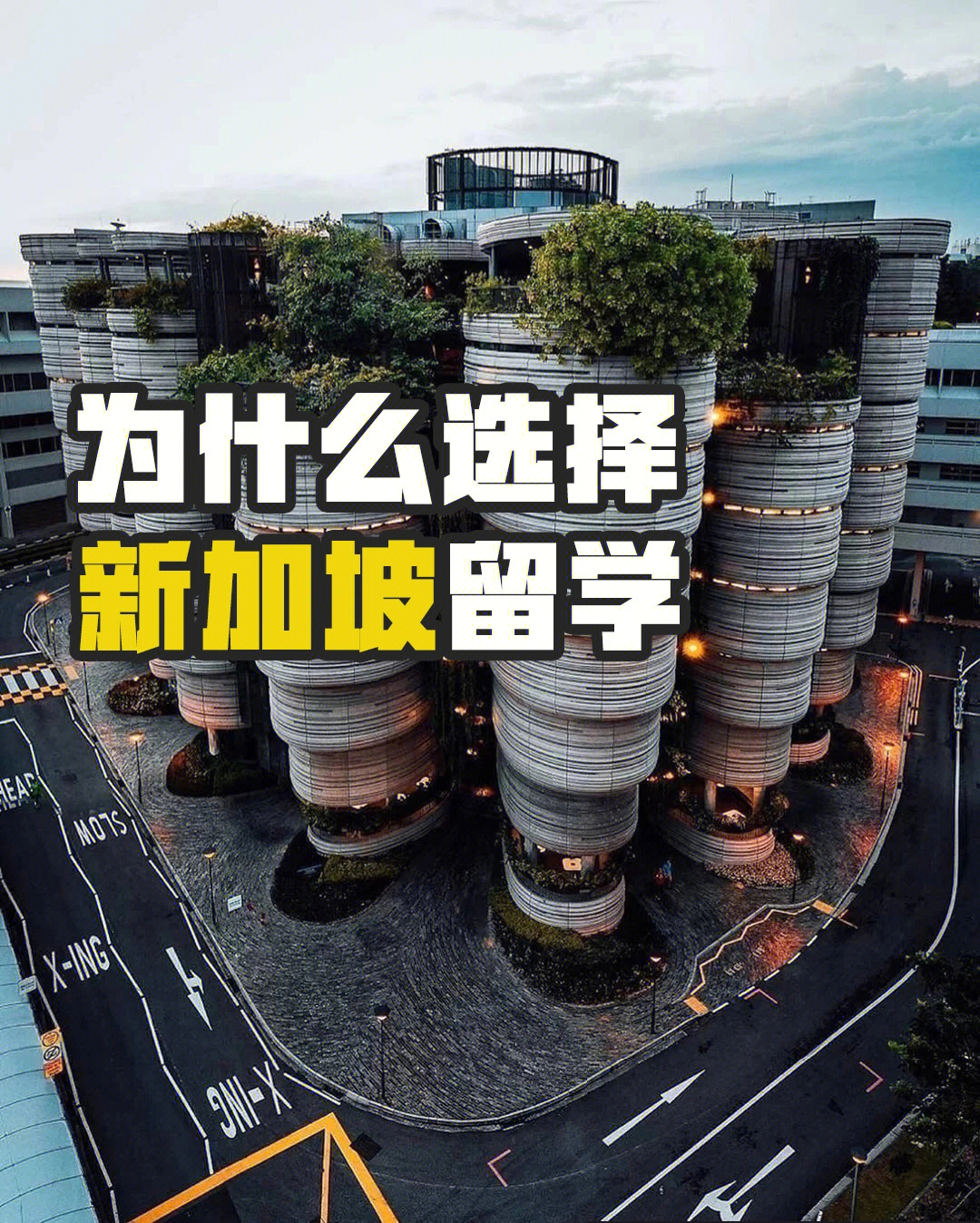 新西蘭高中留學(xué)一年費(fèi)用_新西蘭留學(xué)一年的費(fèi)用_留學(xué)新西蘭費(fèi)用