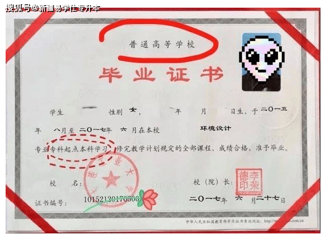 山東本科學(xué)校讀專科_可以專科升本科的學(xué)校_哪些本科學(xué)校招收專科