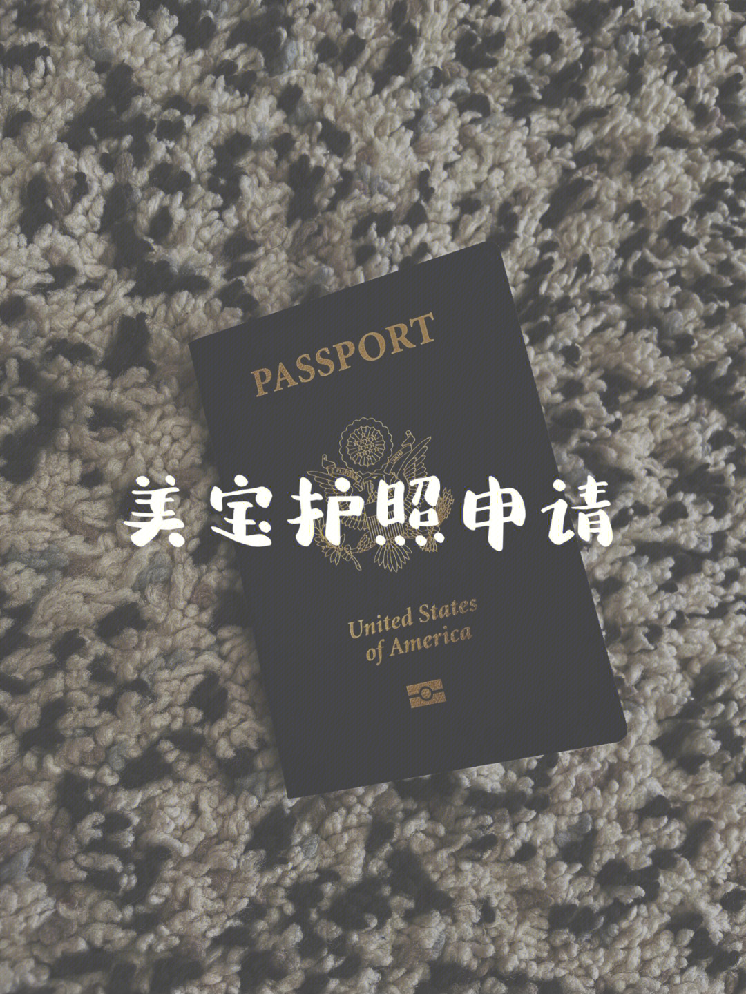 最新韓國移民政策_移民安置政策_上海投資移民加拿大有哪些新的政策?移民中介機構推薦