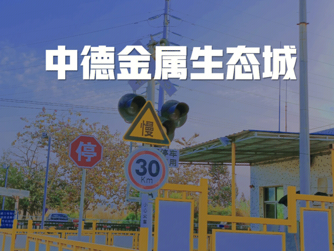 越南駐南寧領(lǐng)事_中國駐德國領(lǐng)事館有幾個(gè)_越南駐昆明領(lǐng)事總領(lǐng)事