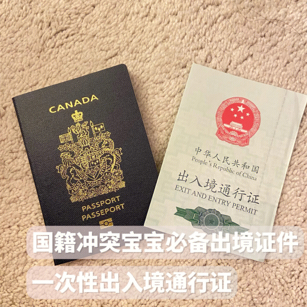 加拿大食品營養專業留學條件_加拿大留學申請條件_加拿大尼古拉古理工學院留學條件