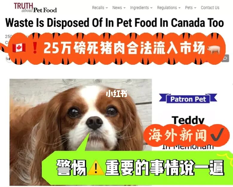 去美國留學要多少錢_為什么留學文憑要認證_想去葡萄牙留學要求是什么