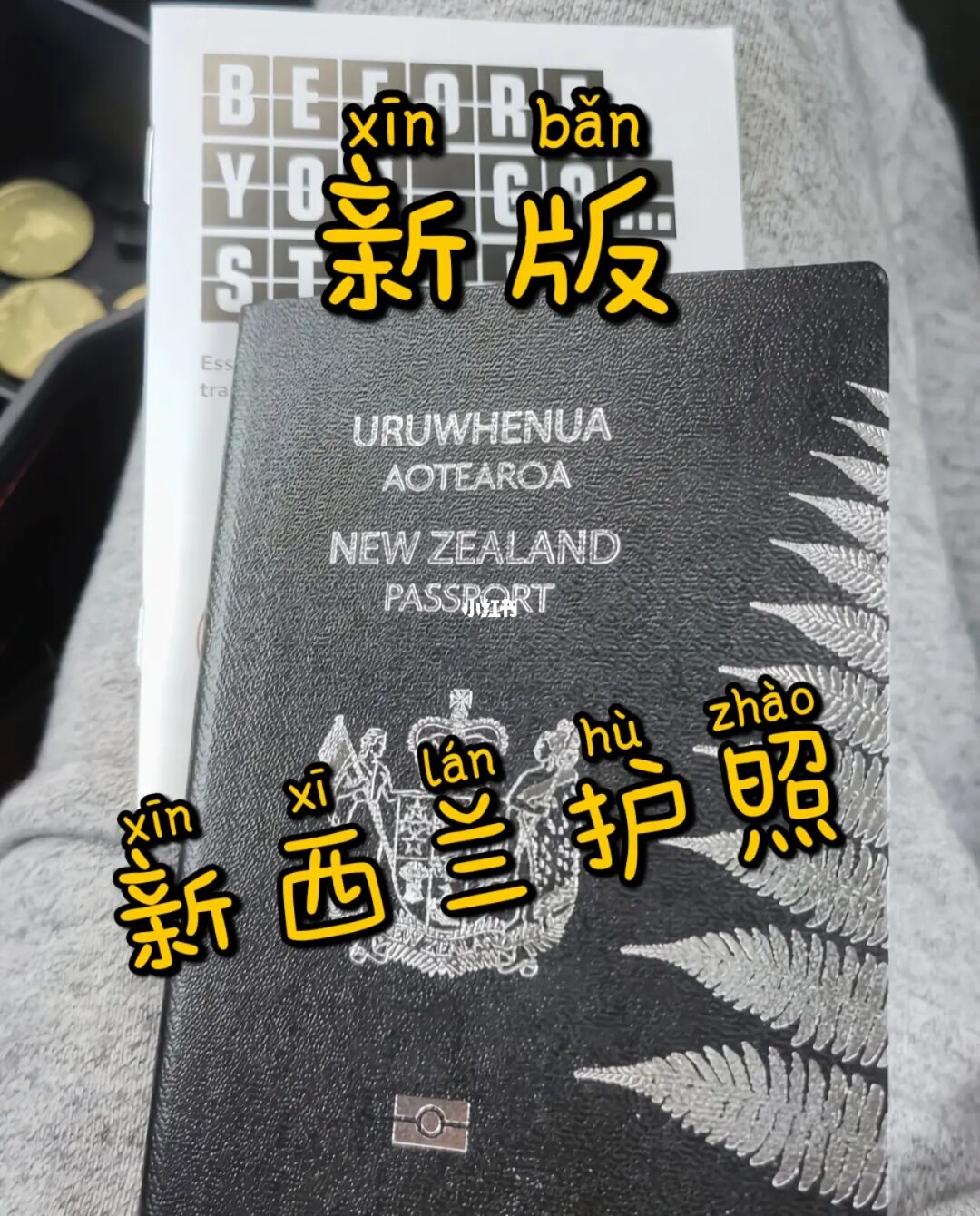 澳洲移民的新政策_魁北克移民新政_匈牙利移民新政
