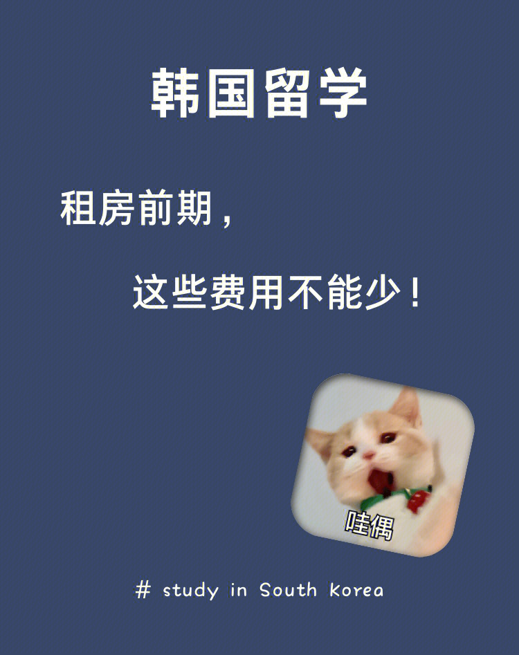 碩士留學韓國費用_韓國朝鮮大學費用留學_韓國留學一年的費用