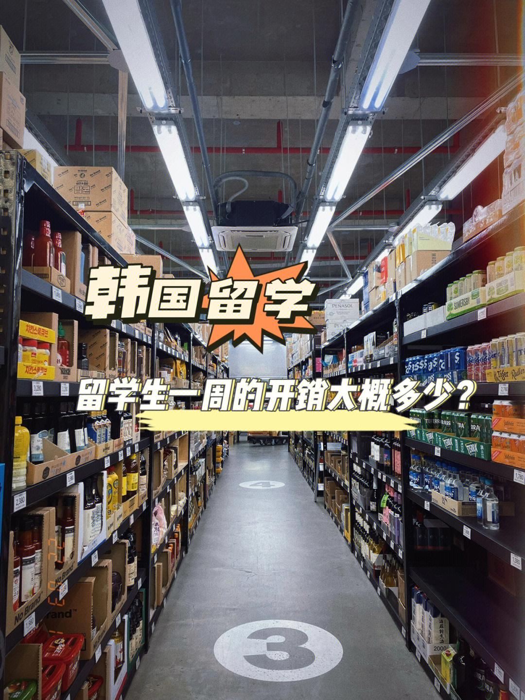 2023專業留學中介最新要求_2023亞洲杯北京的專業足球場_拓達留學 黑中介