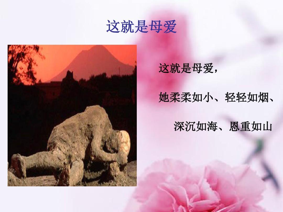 射在褲子里就去睡會弄到被子嗎_抖音里面折被子不用捆_藏在被子里的母愛