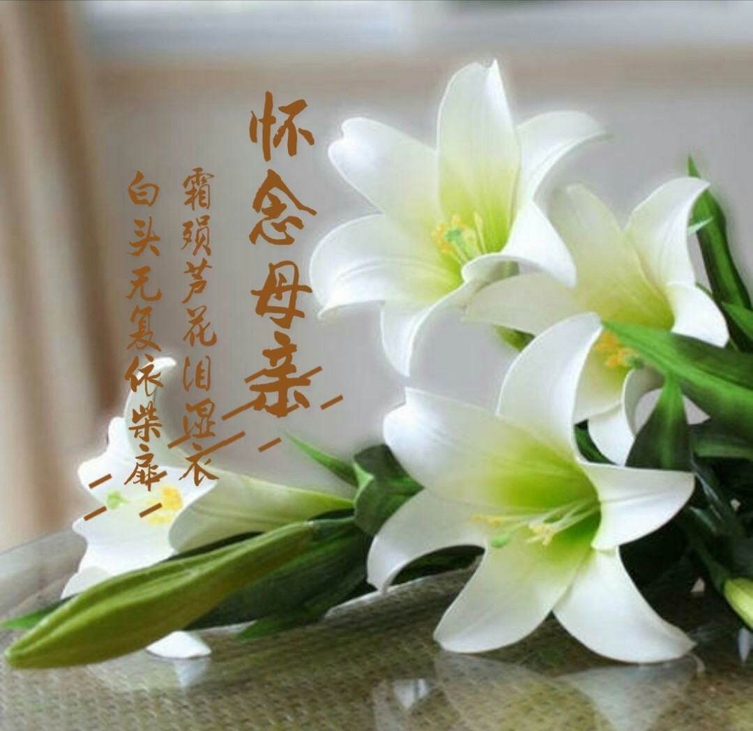 射在褲子里就去睡會弄到被子嗎_藏在被子里的母愛_抖音里面折被子不用捆