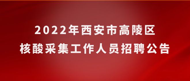 黑龍江信息職業技術學院官網_黑龍江考試信息網_黑龍江大學校園信息門戶網