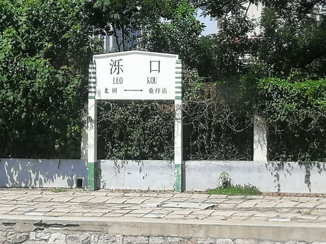中國傳媒大學2021招生官網_遼寧大學招生網_遼寧招生考試網官網