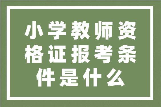 教師考編資格復審報名登記表_資格證分b證和c證嗎_教師資格證面試報名