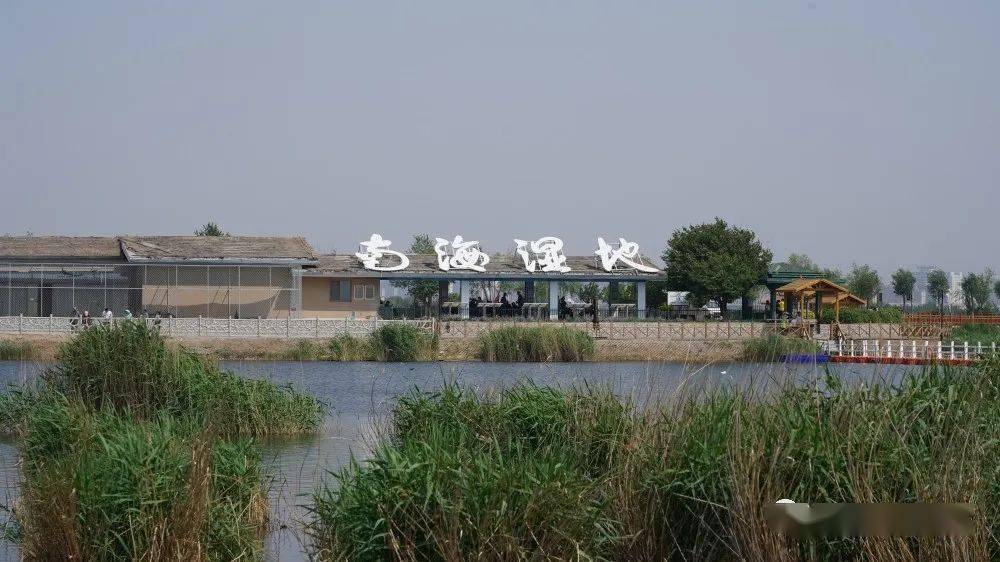 廈門(mén)觀音山沙雕公園_觀音山沙雕文化公園_廈門(mén)觀音山沙雕公園要門(mén)票嗎