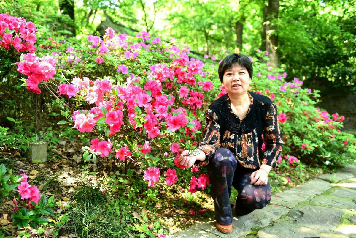 滿村桃花香全文閱讀_成長路上 花香滿徑600_成長路上花香滿徑