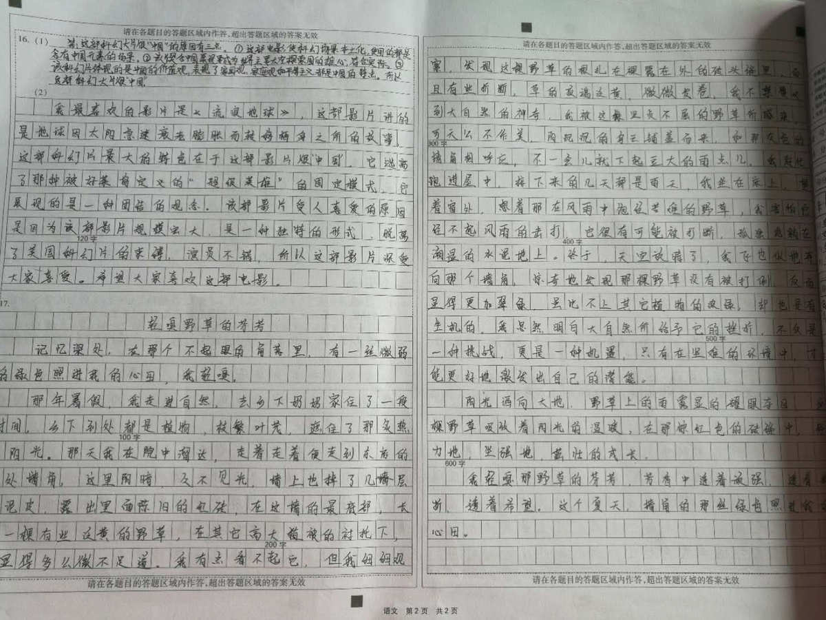 村滿桃花香_成長路上花香滿徑_成長路上,花香滿徑