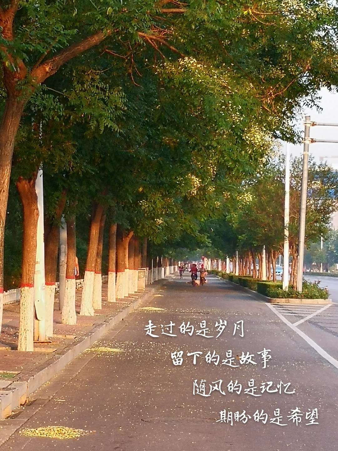 小溪匆匆走下山崖仿寫_匆匆排比句仿寫_匆匆第三自然段仿寫