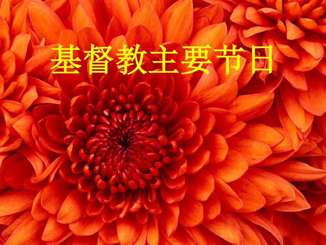 圣誕分手節(jié)_新加坡圣誕節(jié)放幾天假_圣誕j節(jié)性感小妹