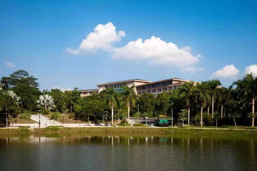 山東大學專業排名_山東臨沂大學藝術專業_山東財經大學各專業錄取分數線