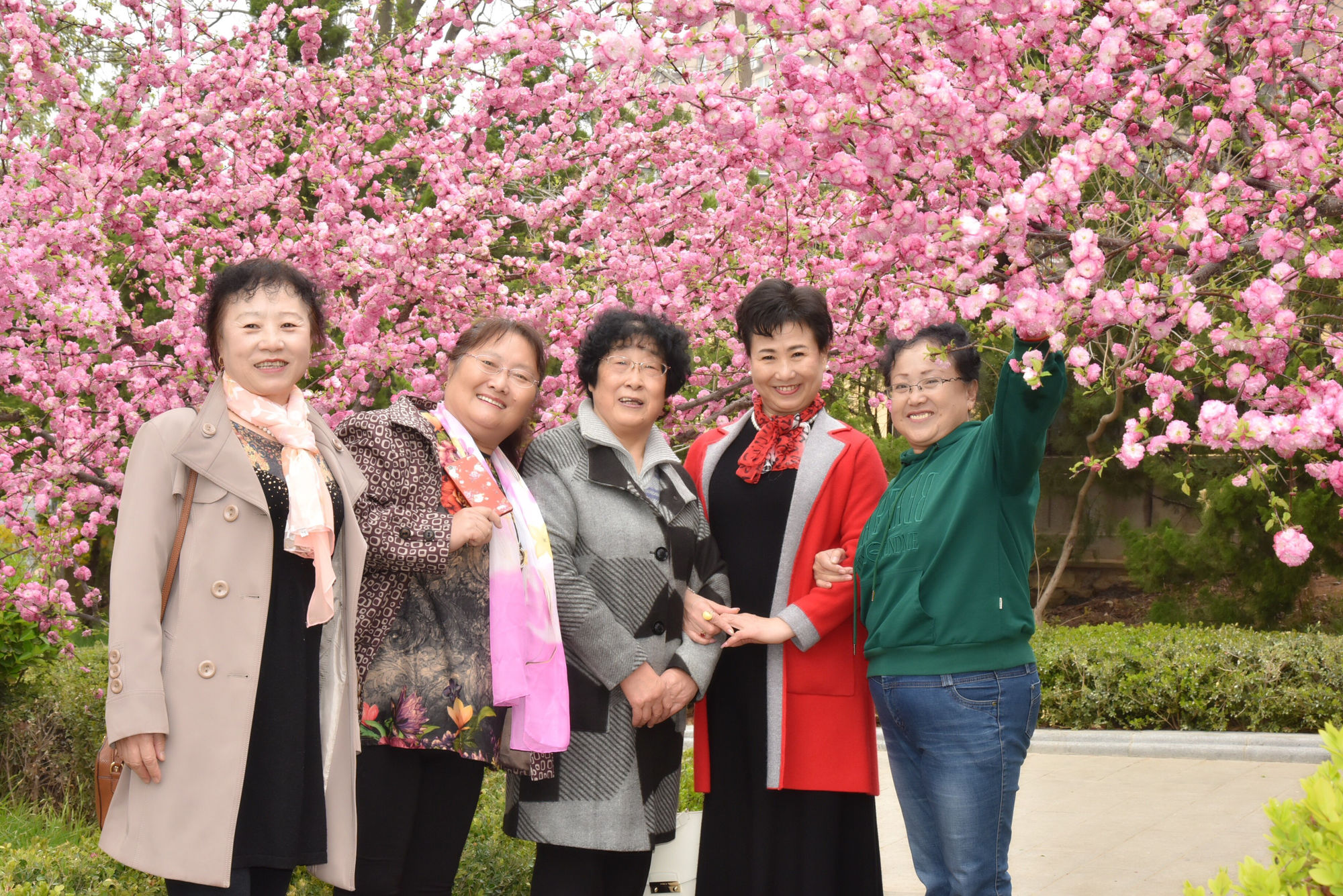 仿寫匆匆第三自然段_仿寫匆匆第三段_匆匆 仿寫排比句