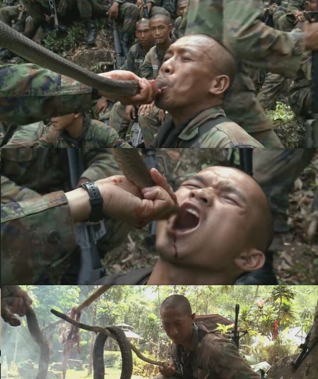 這是個欠干的小家伙_你就是欠干表情包_干物妹小埋是日本哪