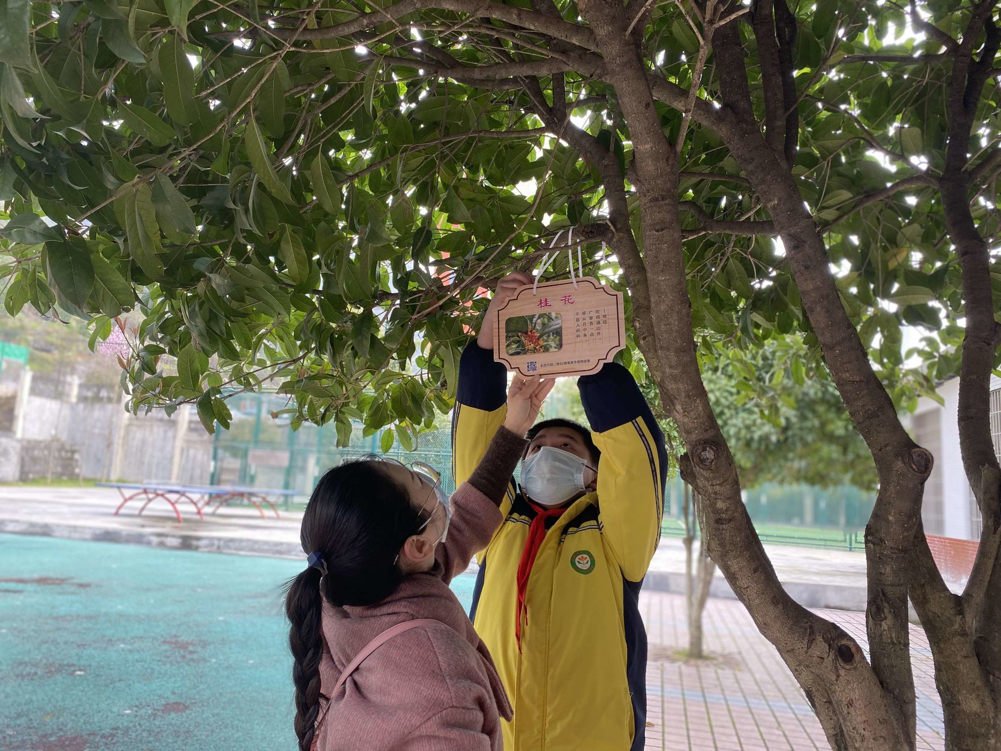 關于開學感想的初中周記_看開學第一課有感_寫一篇開學感想的作文