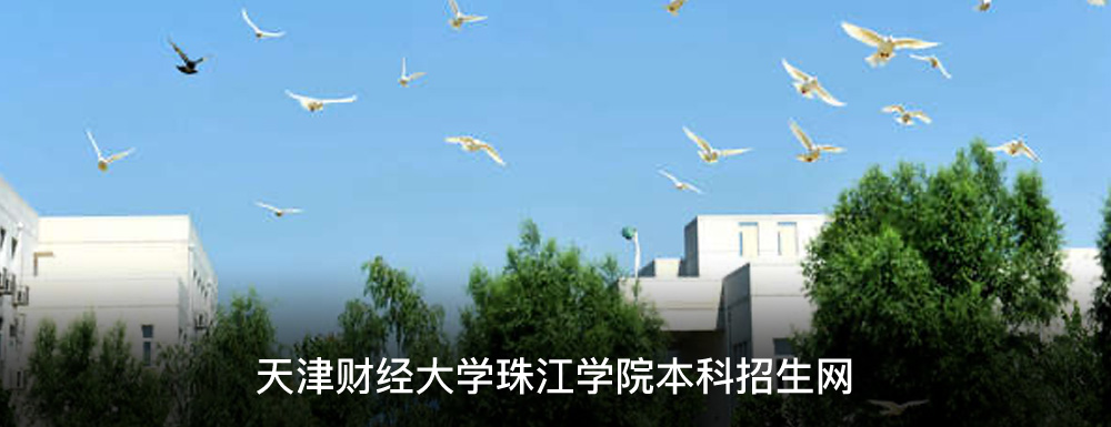 天津財經大學 珠江學院_天津財經大學珠江學院_天津財經大學珠江學院 論文