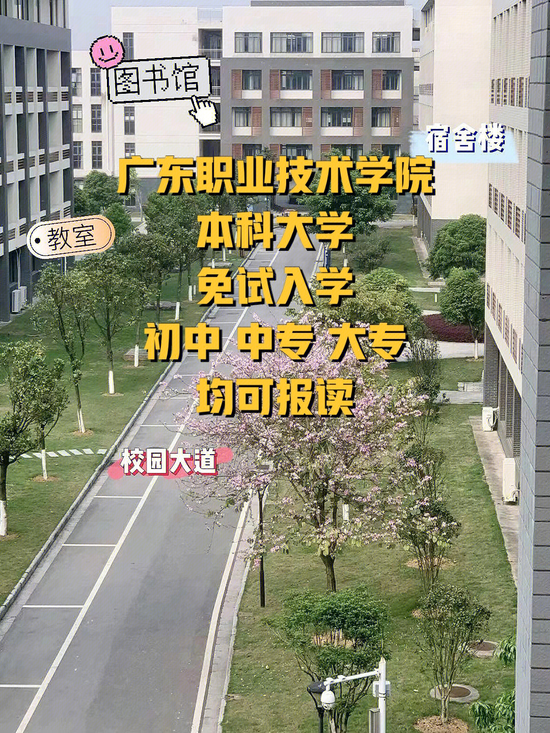 河北專科機(jī)電學(xué)校排名_浙江專科學(xué)校排名_浙江會計(jì)專業(yè)專科排名