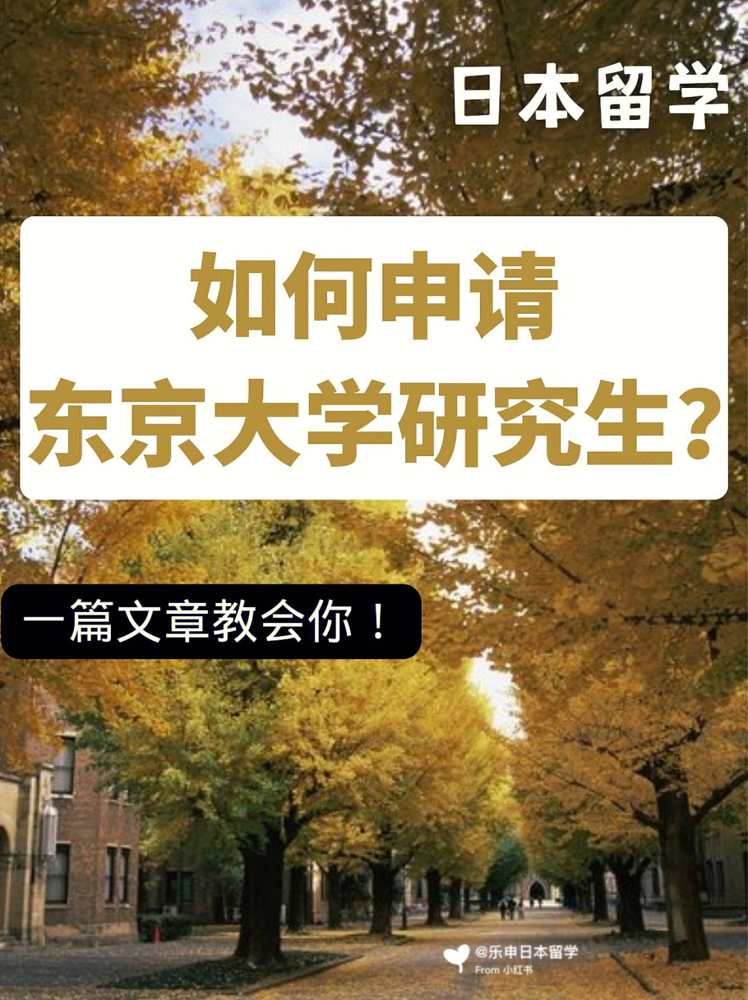 申請韓國法學院校的要求_2015年法律碩士(法學)調劑院校_河南省法學院校排名