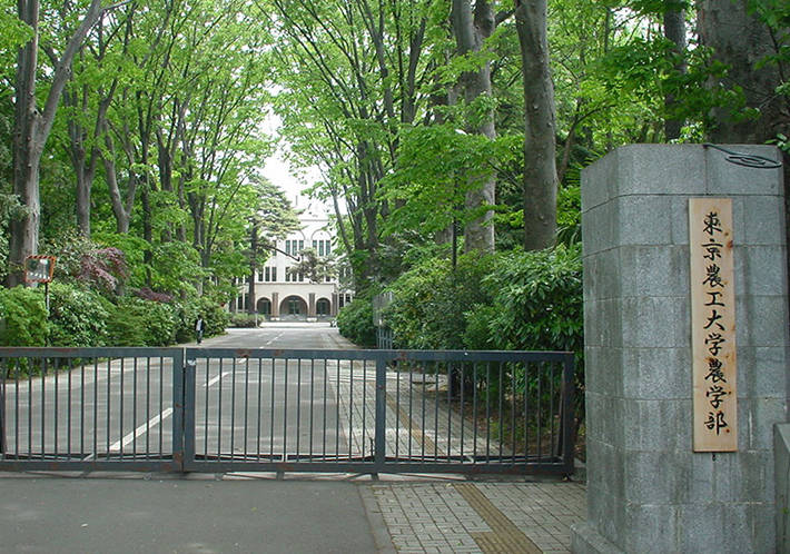 神戶大學日本排名_日本大學世界排名_成城大學 日本排名