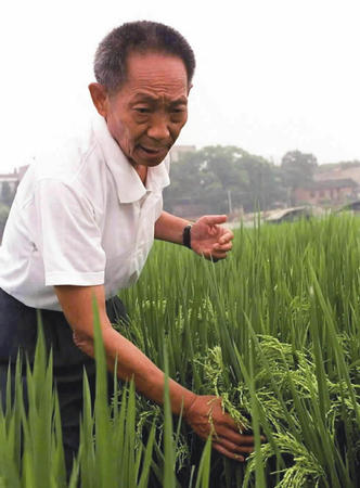 給袁隆平爺爺的一封信_袁隆平爺爺的事跡_在展覽里,袁隆平爺爺