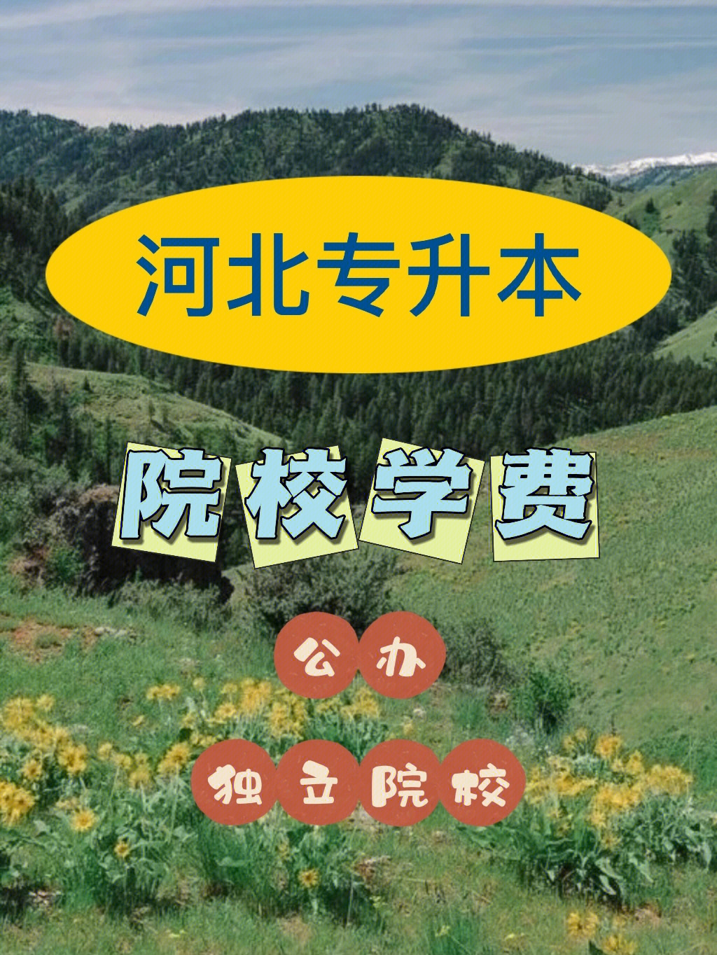 美國綠卡生申請美國研究生比國際留學生優(yōu)勢在哪里_俄羅斯醫(yī)學院國際生申請_韓京國際醫(yī)美學院