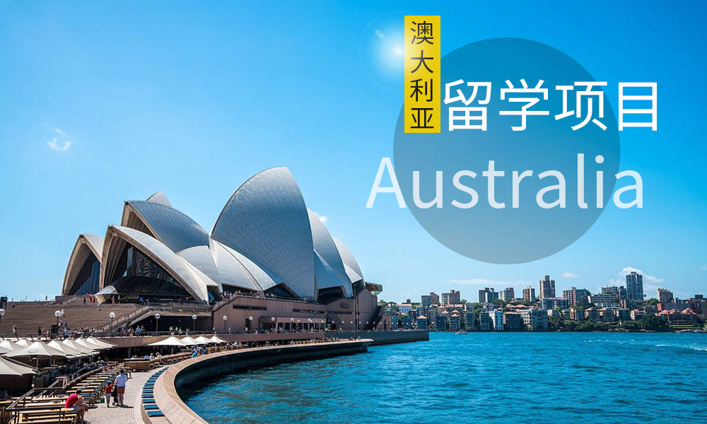 上海外國(guó)語(yǔ)大學(xué)各專業(yè)就業(yè)排名_澳大利亞臥龍崗大學(xué)牙科專業(yè)_澳大利亞大學(xué)專業(yè)排名