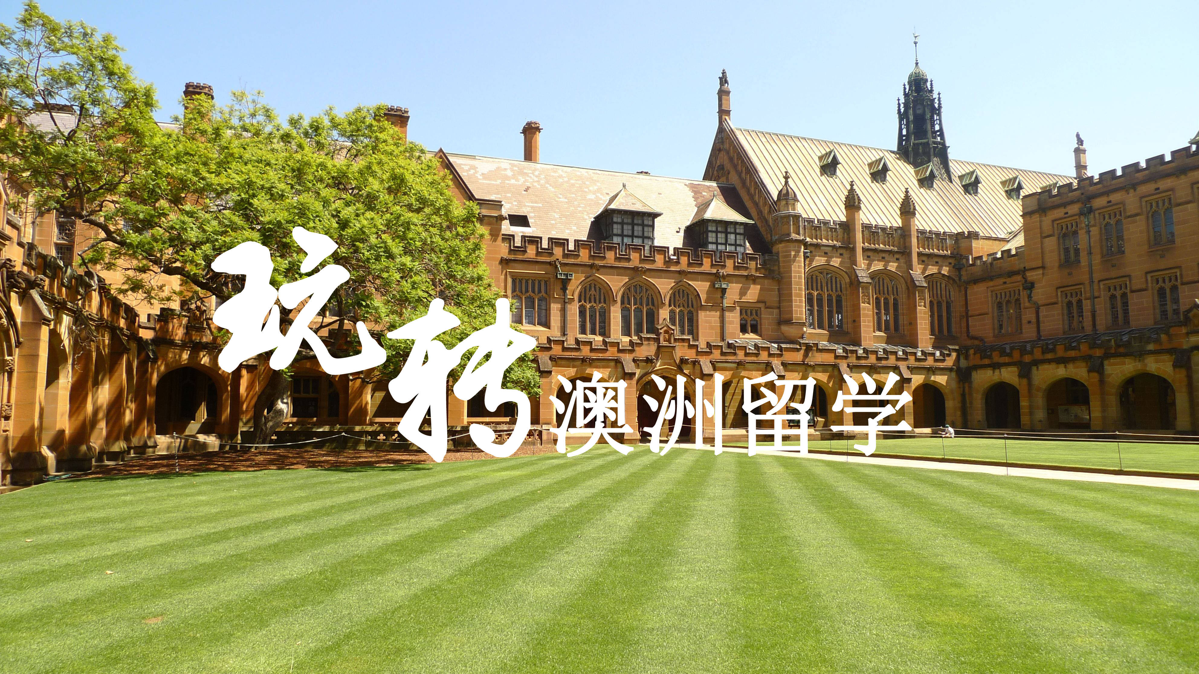 澳大利亞臥龍崗大學(xué)牙科專業(yè)_上海外國(guó)語(yǔ)大學(xué)各專業(yè)就業(yè)排名_澳大利亞大學(xué)專業(yè)排名