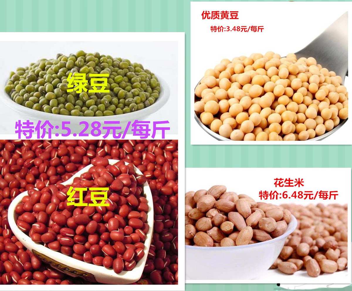 發(fā)豆芽的觀察日記_綠豆芽的生長(zhǎng)觀察日記_觀察綠豆的生長(zhǎng)日記