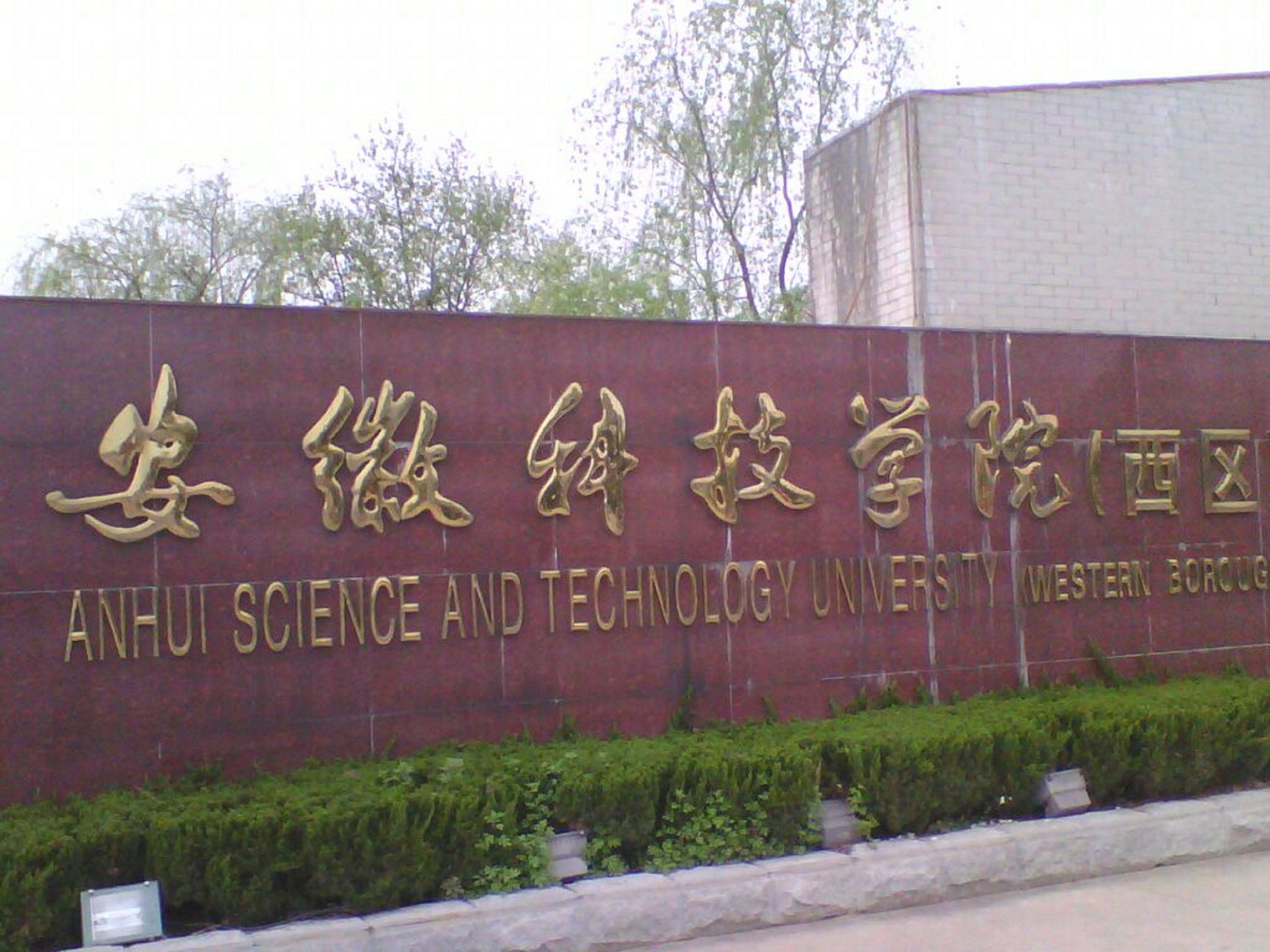 江蘇科技大學張家港校區張蓉_江蘇科技大學張家港校區鄧雋_江蘇科技大學 張家港校區