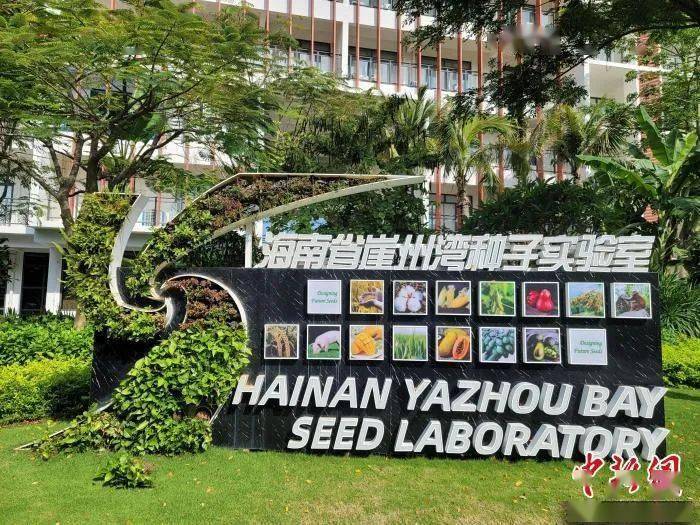 非州國際關系專業排名_偉利國際蔡州壹號_2013濮陽開州國際會館除夕晚會