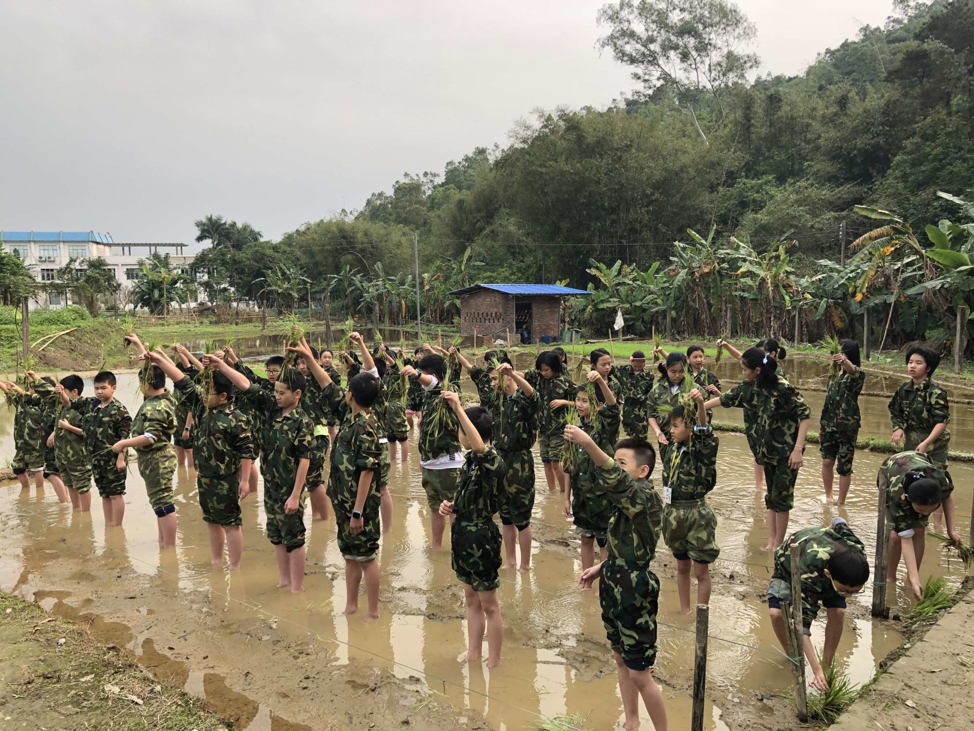 軍訓(xùn)感受500_軍訓(xùn)感受500字_軍訓(xùn)后的感受500字作文