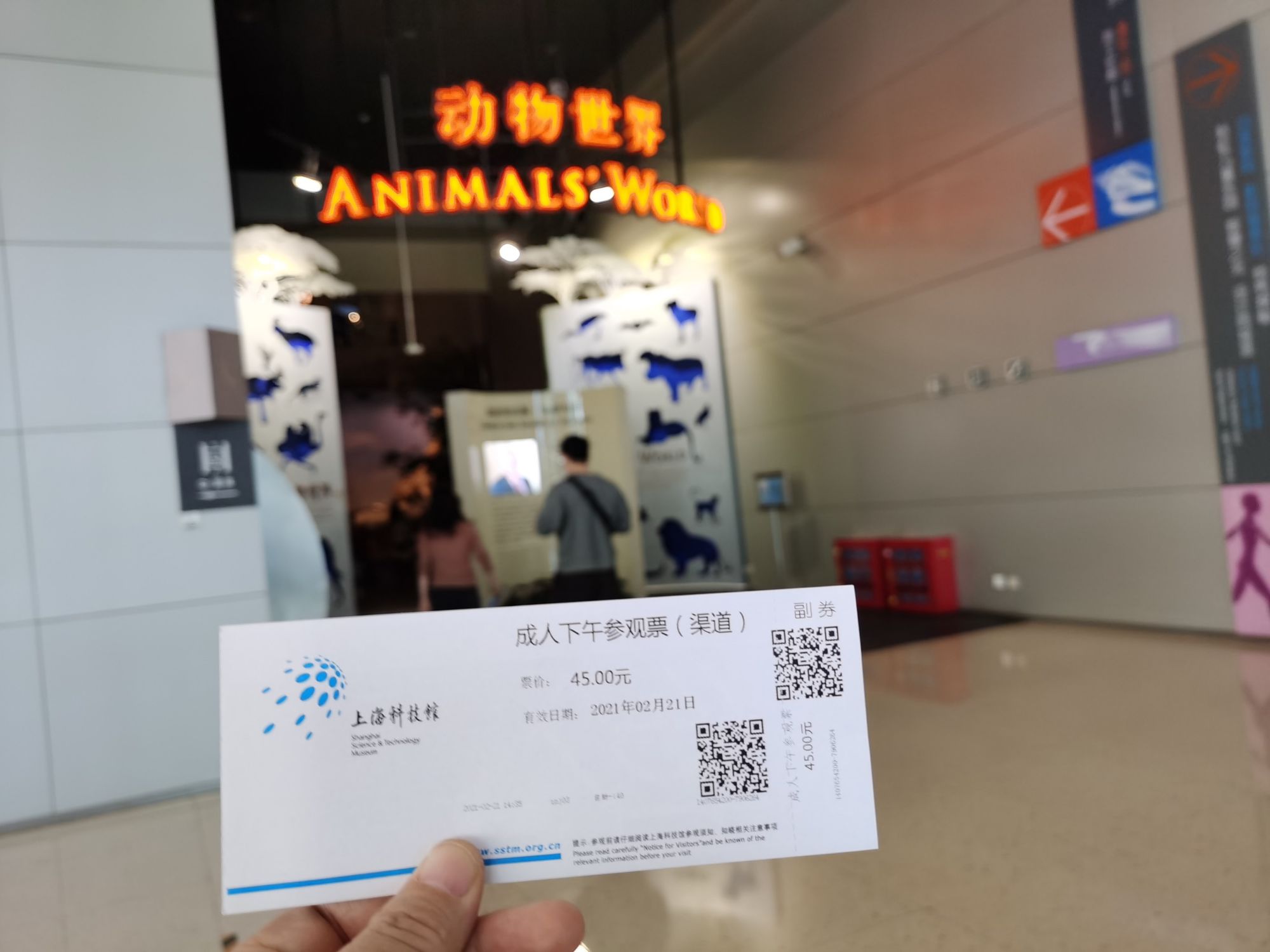 上海南京杭州等7日游_上海科技館一日游_上海迪士尼夏令營5日游