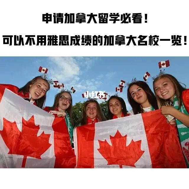 日本簽證狀態查詢_如何查詢日本簽證狀態_加拿大簽證狀態查詢