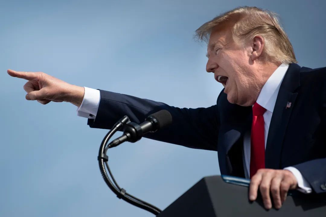 加拿大總統選舉最新情況_阿姆選舉總統_美國選舉總統流程