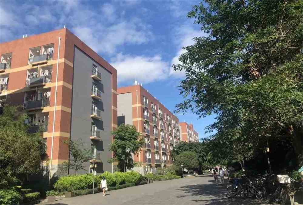 上海同濟(jì)大學(xué)浙江學(xué)院_上海財(cái)大浙江學(xué)院_2012上海電機(jī)學(xué)院浙江錄取分?jǐn)?shù)線