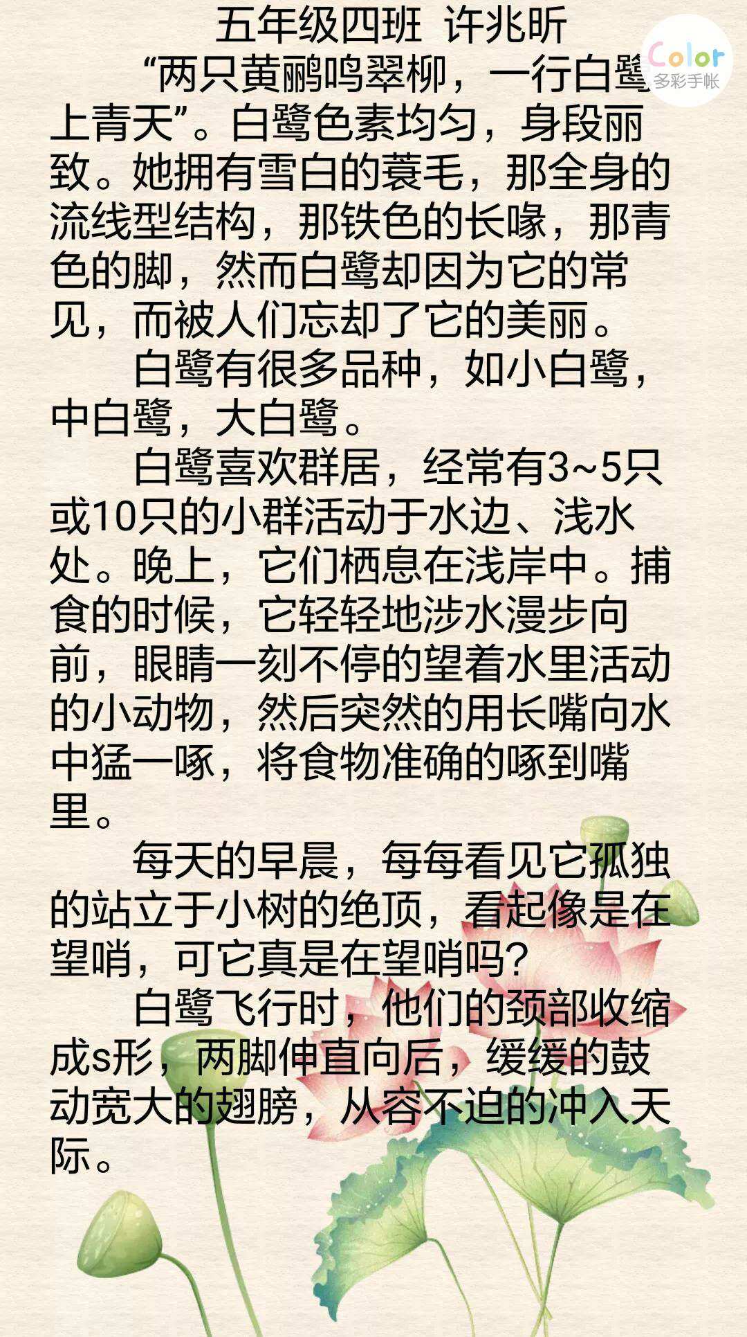 5個月能吃2段奶粉嗎_白鷺2-5段改寫成說明文_5個月能喝2段奶粉嗎