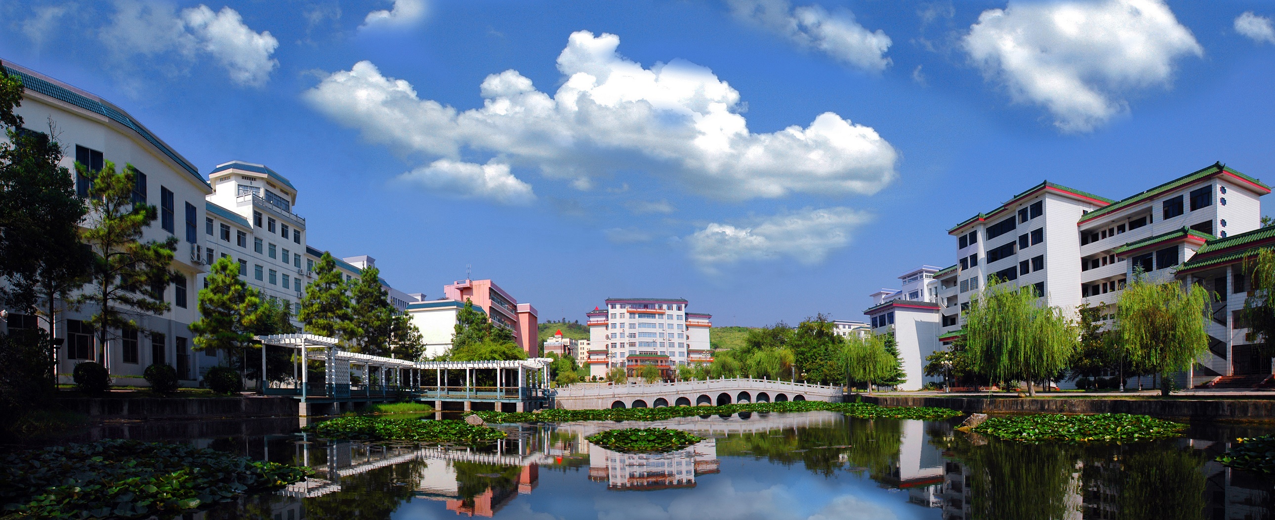 2023專升本可以報考哪些大學(xué)最新要求_重慶最新專升本要求_大學(xué)報考和選課要求