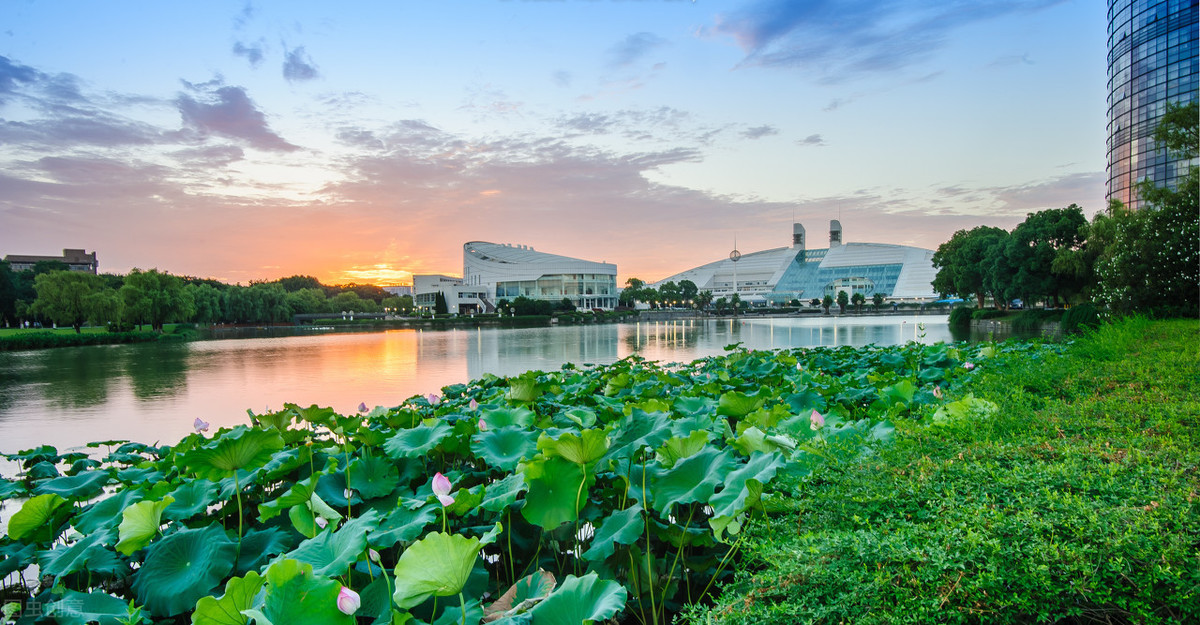 211大學名單排名_杭州大學排名_杭州北苑實驗中學排名杭州