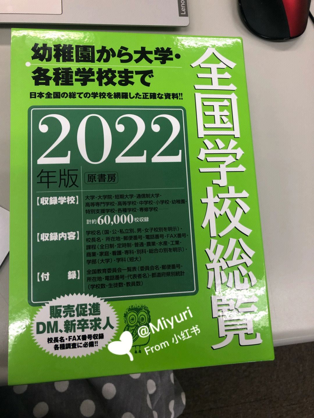 普林斯頓大學哈佛_哈佛社區大學經濟系_哈佛大學介紹