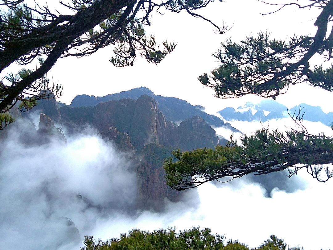 黃山奇石天狗望月圖片_黃山奇石中的天狗望月_黃山奇石圖片天狗望月介紹