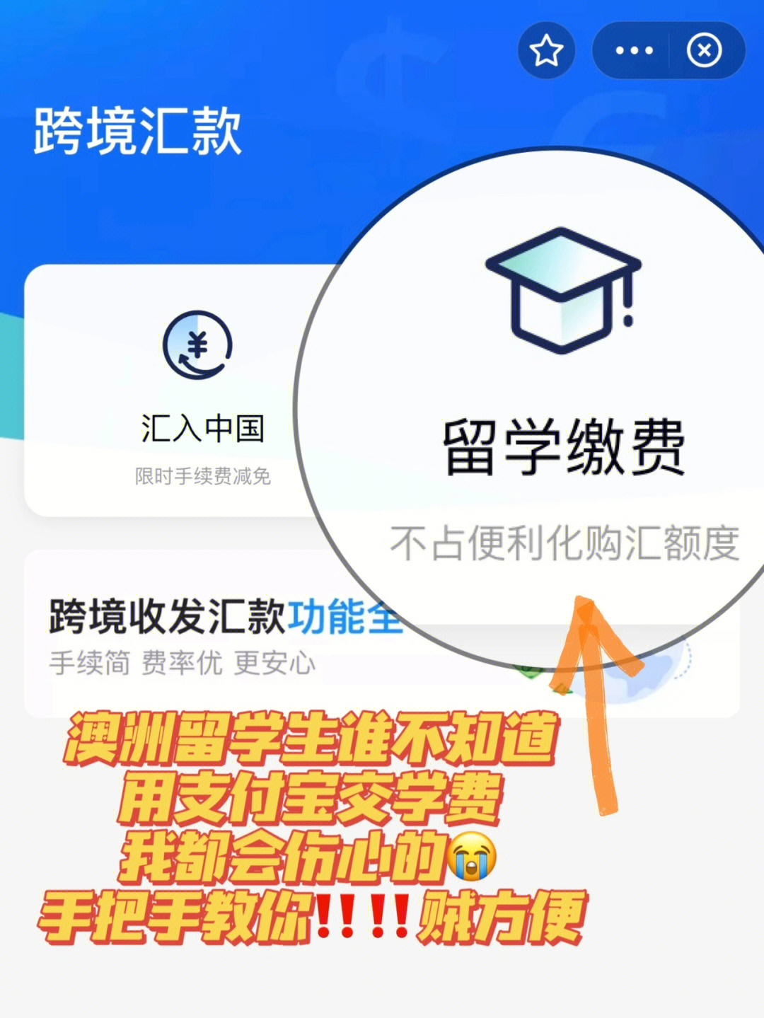 留學新西蘭研究生費用_2023新西蘭留學費用_新西蘭奧克蘭小學留學條件